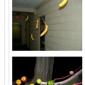 high contrast photos of fruit flying threateningly in the night