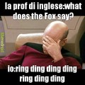 what does the Fox say?