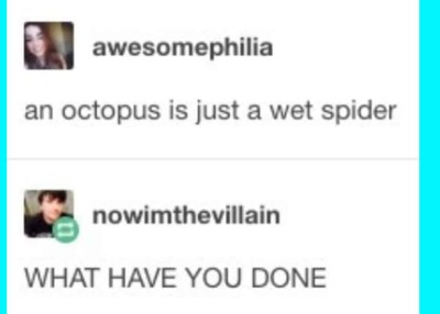 wet spider - meme