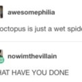 wet spider