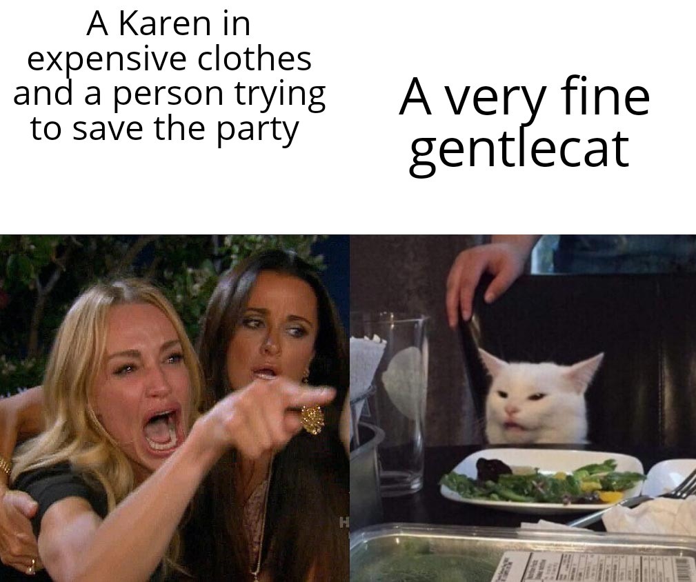 Cat meme vs karen