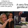 Cat meme vs karen