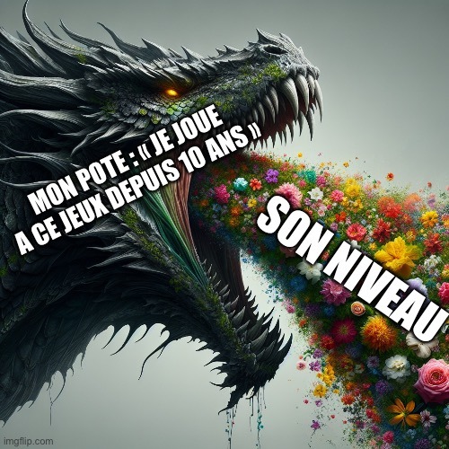 On a tous ce pote - meme