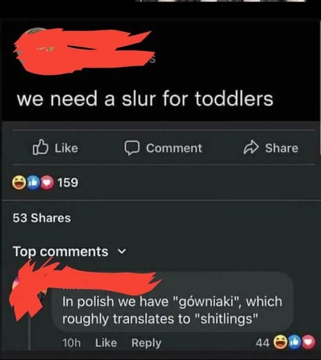 Polish is a beautiful language - meme