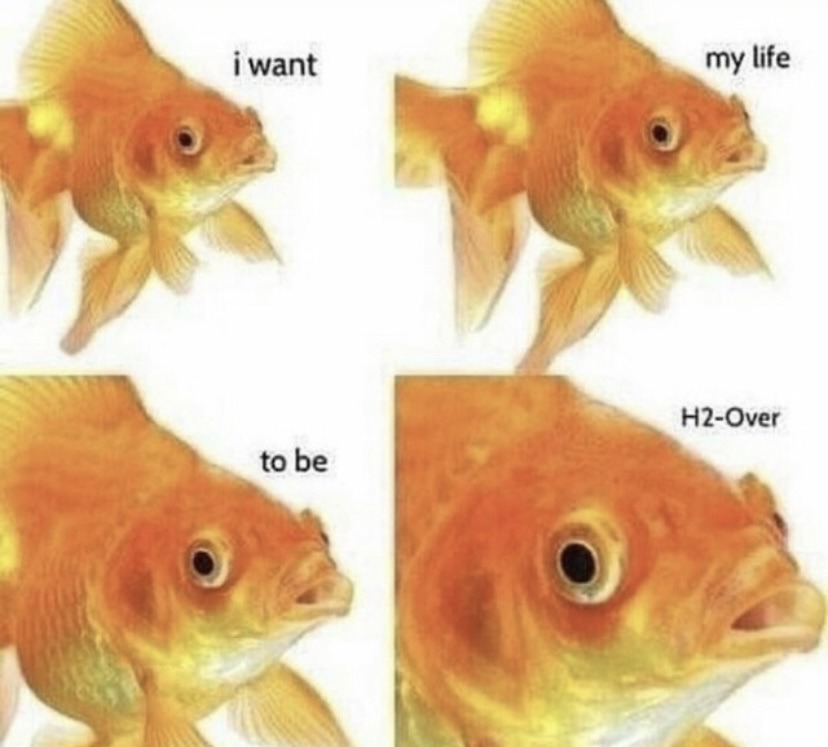 fish mass suicide - meme