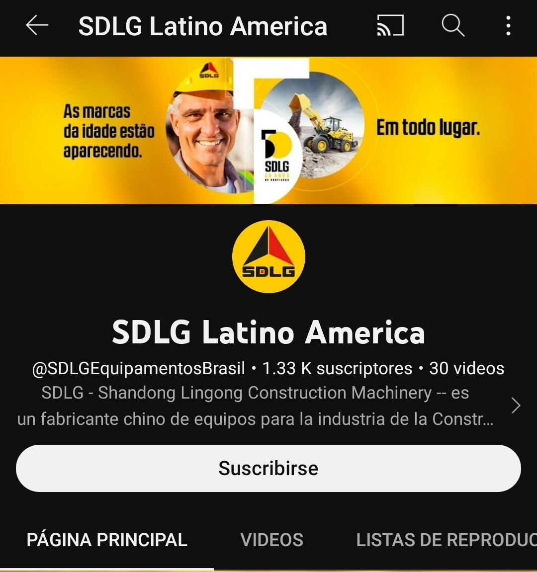 No sabía que SDLG era una empresa (se fundó en 1972 con ese nombre) - meme