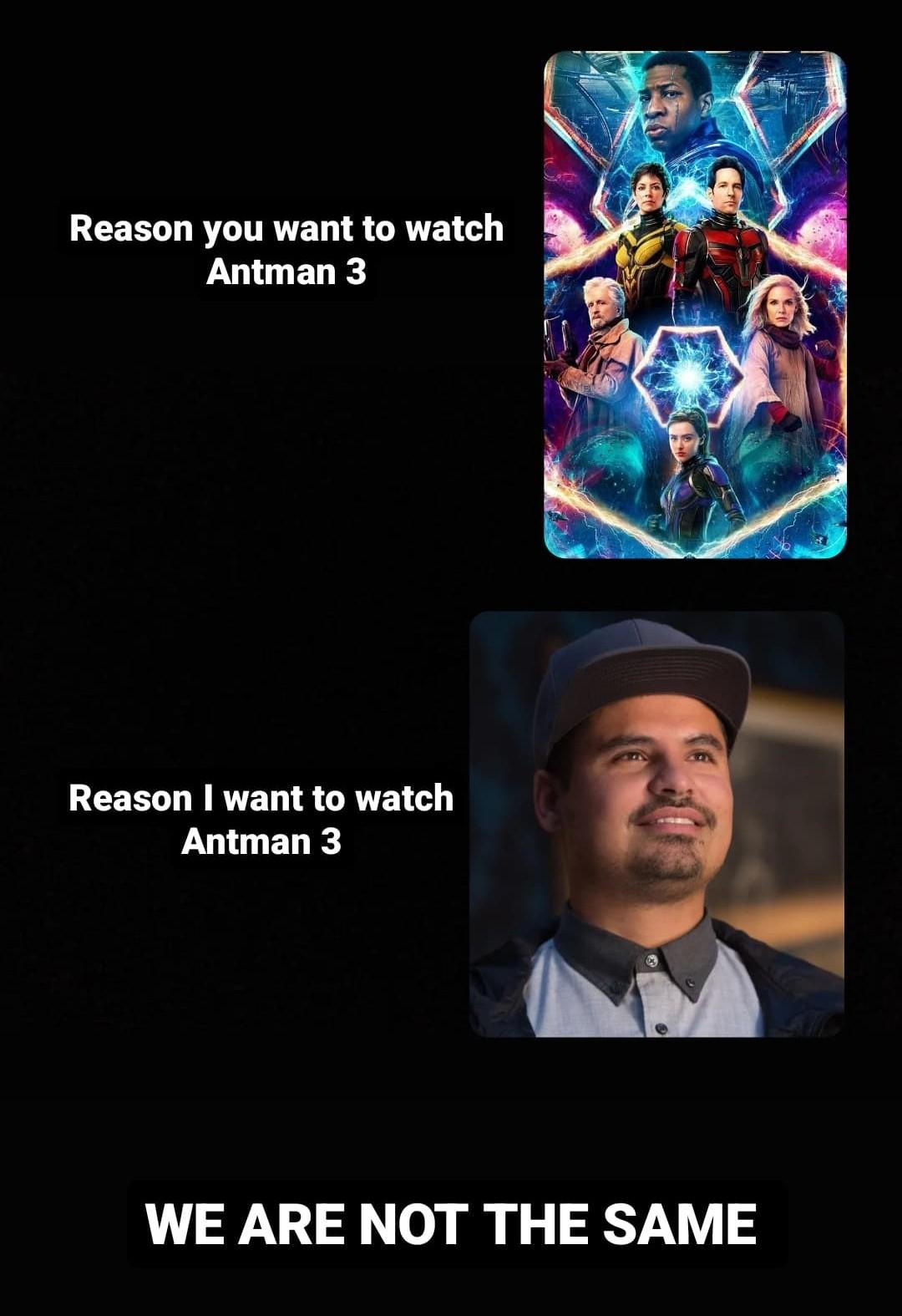 Reason I want to watch Antman 3 - meme