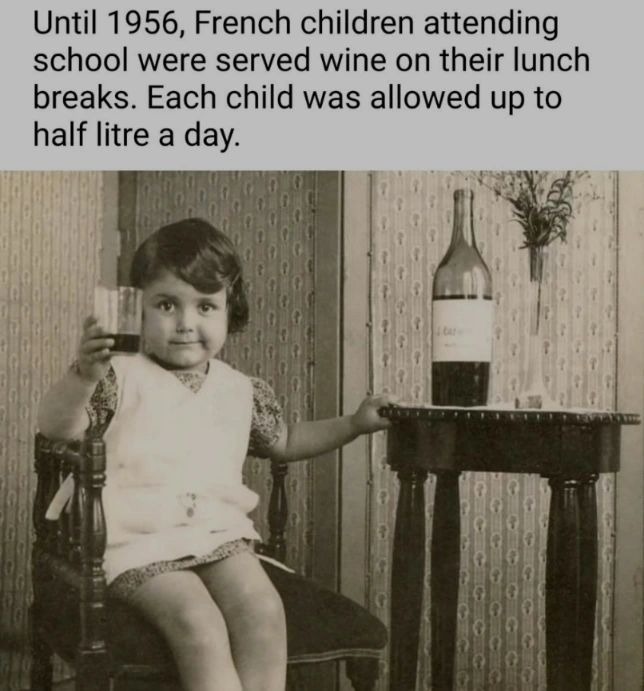 In 1956, some little alcoholic ruined it for everyone - meme