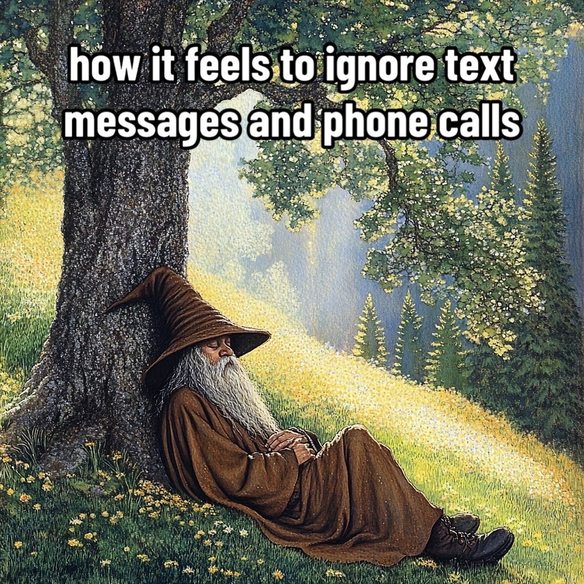 ignoring texts like I’m a medieval monk on a vow of silence - meme