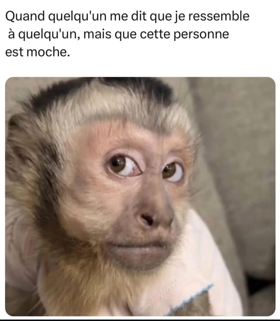 Tu ressembles à lui ! – mais il est éclaté wsh... - meme