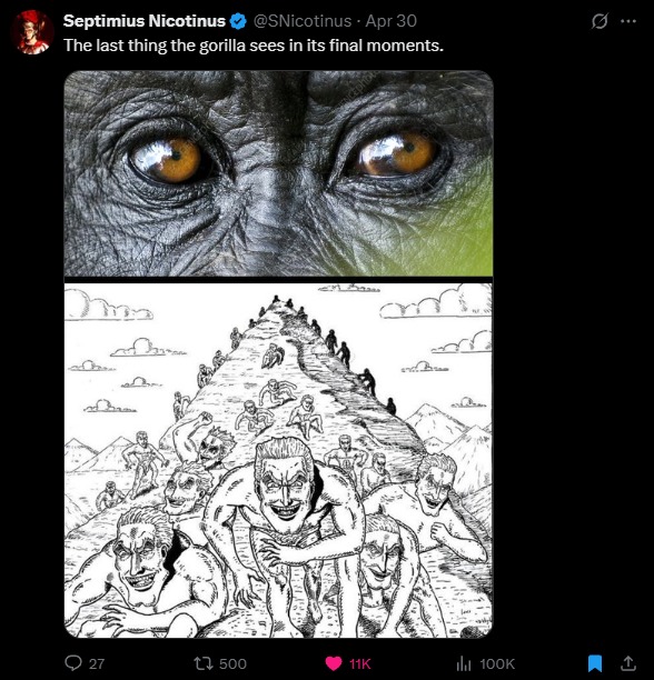 dongs in a gorilla - meme