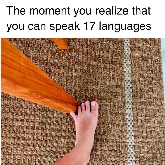 +100 points on language skill - meme