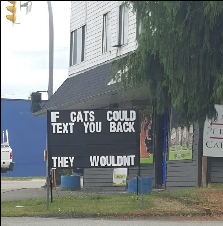 ﻿IF CATS COULD TEXT YOU   BACK PET CA THEY WOULDNT Maue