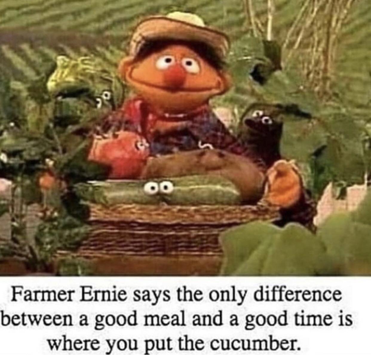 Ernie's wisdom - meme