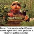 Ernie's wisdom