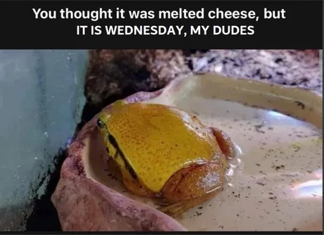 Melted cheese or Wednesday - meme