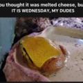 Melted cheese or Wednesday