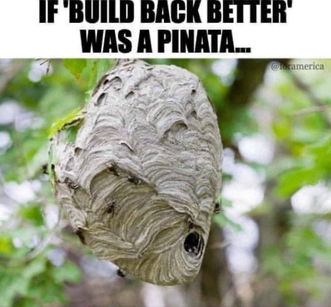 lol - meme