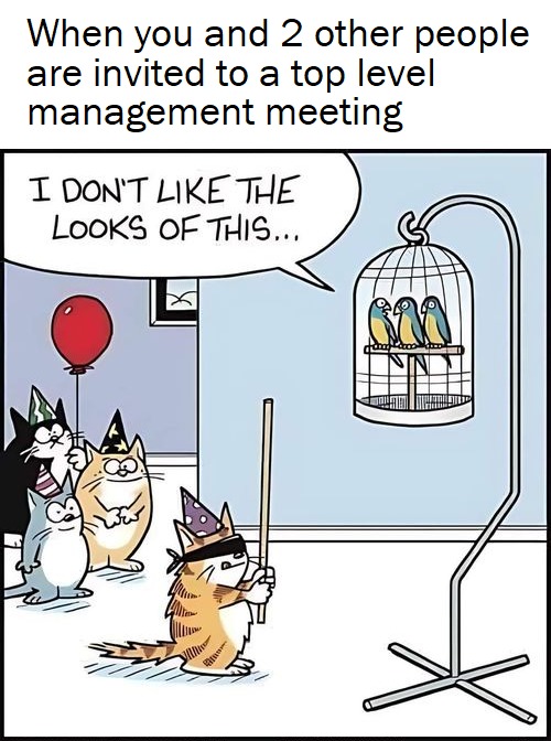 When you and 2 other people are invited to a top level management meeting - meme