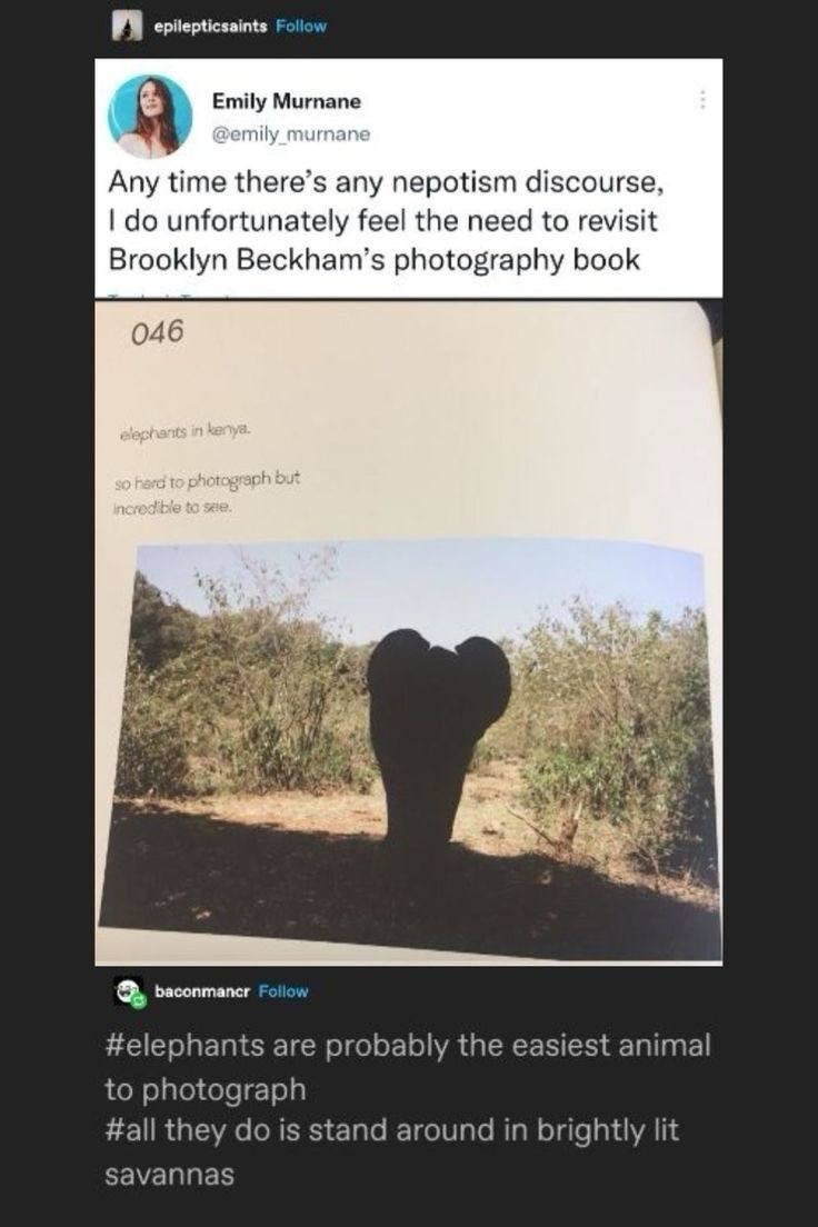 Brooklyn Beckham’s photography book is the final boss of nepotism - meme