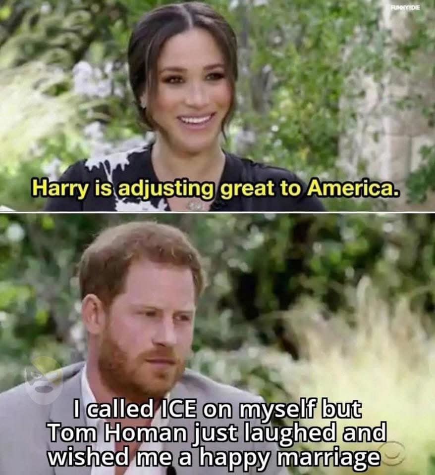 Harry in USA - meme