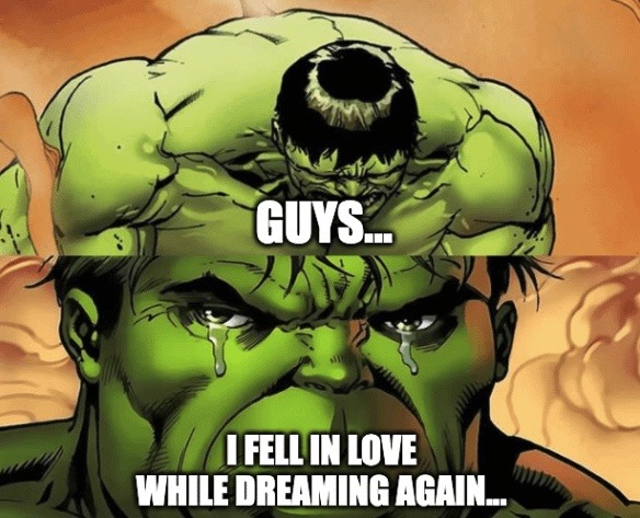 Guys falling in love in their dreams again - meme