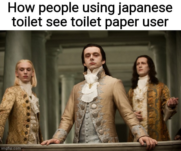 How people using Japanese toilet see toilet paper users - meme