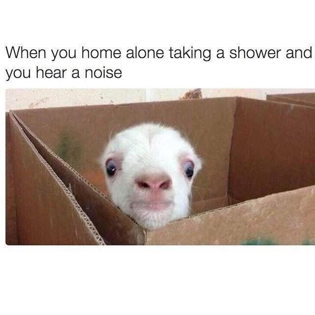Home alone taking a shower and you hear a noise - meme