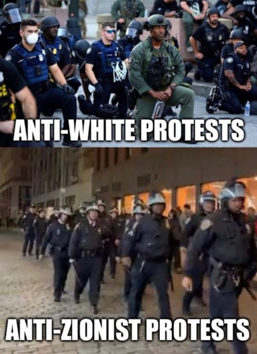 Dongs in a protest - meme