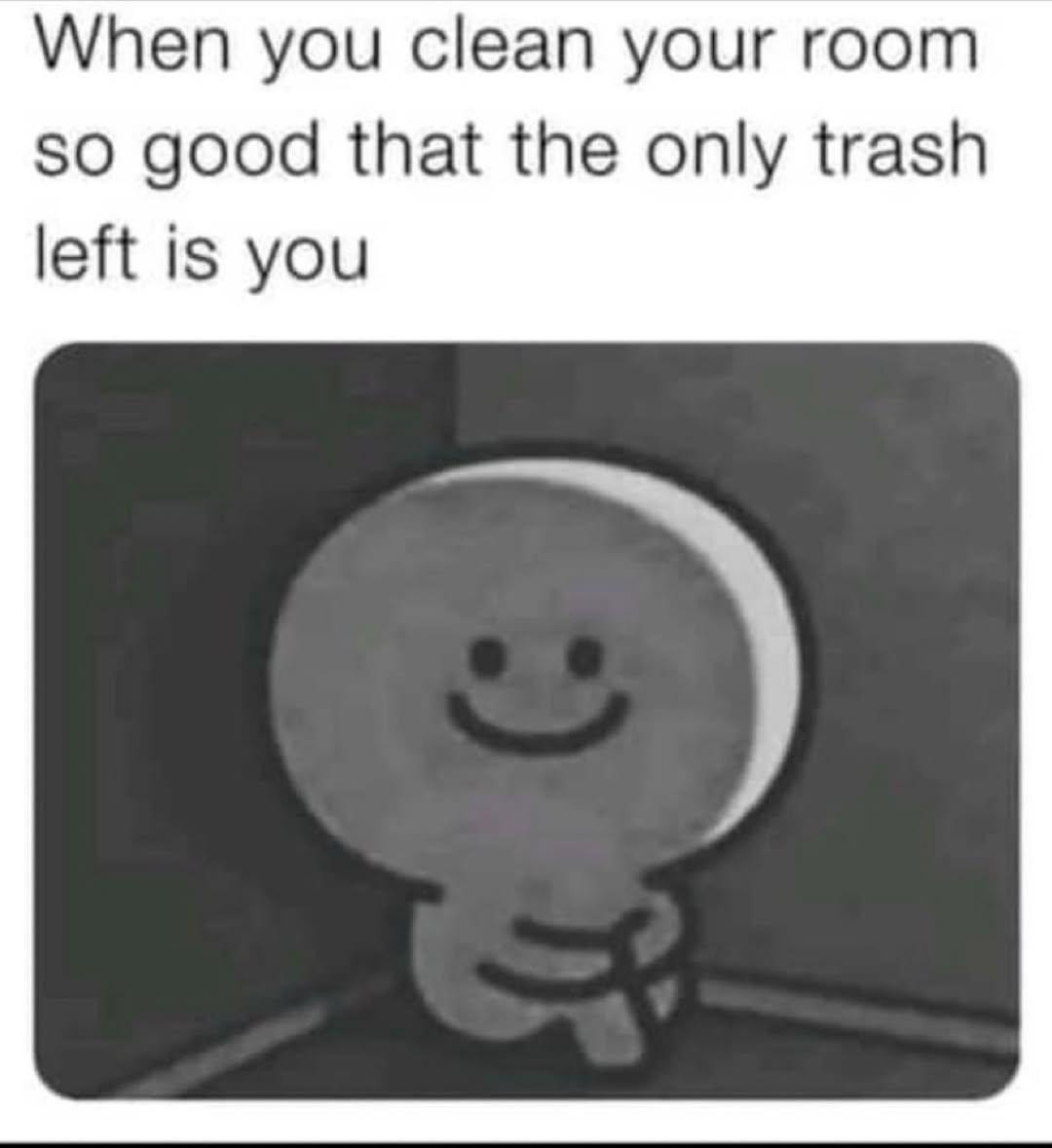 Cleaned the whole room and realized I’m the problem - meme