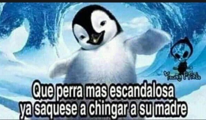 Mierda - meme