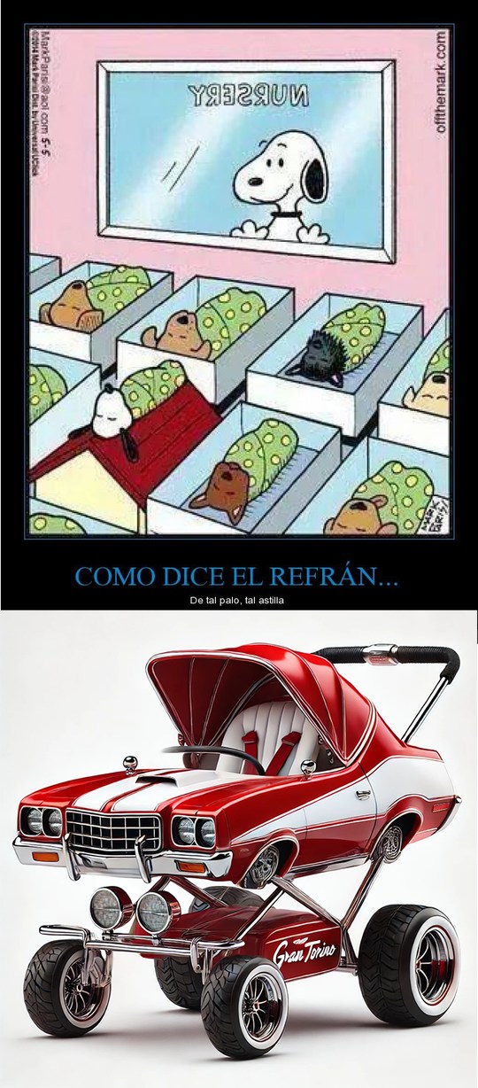 cochecitossss - meme