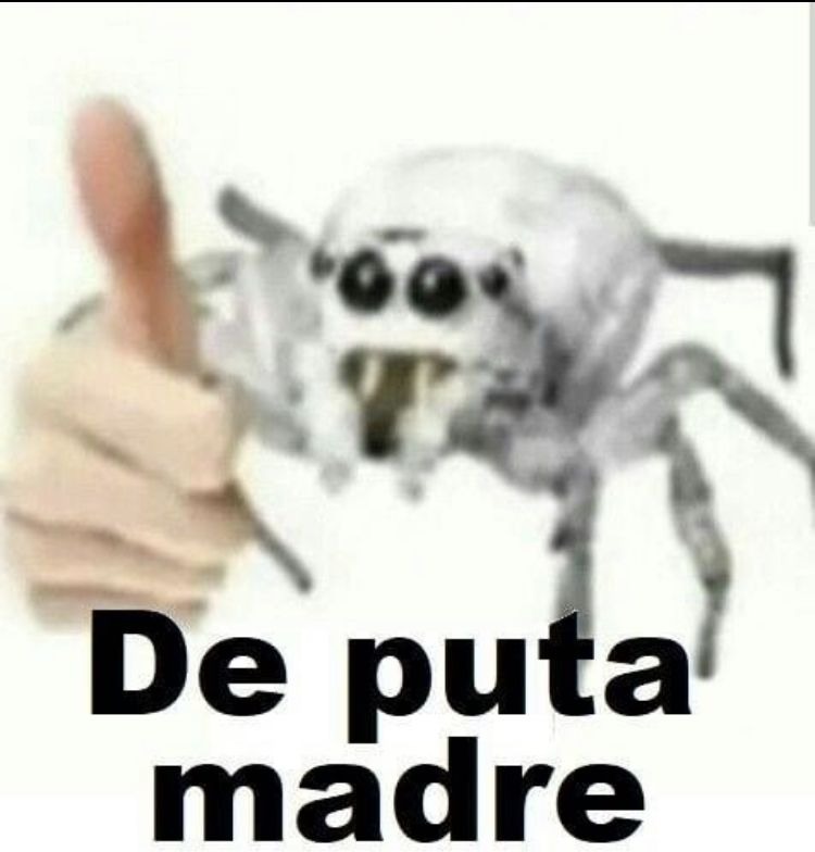 de puta madre - meme
