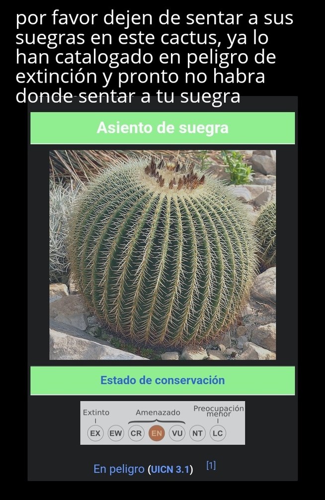 Meme botánico