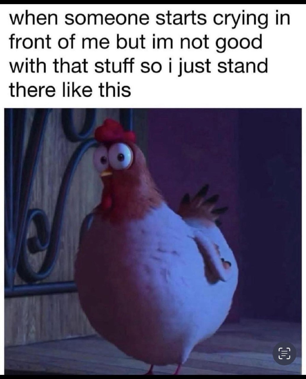 They cry, I freeze like a confused Minecraft villager - meme