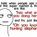 Just hunting elephants