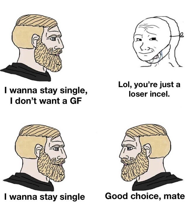 I wanna stay single - meme