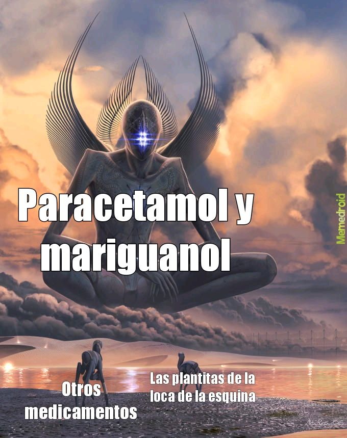 Paracetamol:) - meme