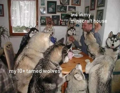 Minecraft wolves meme