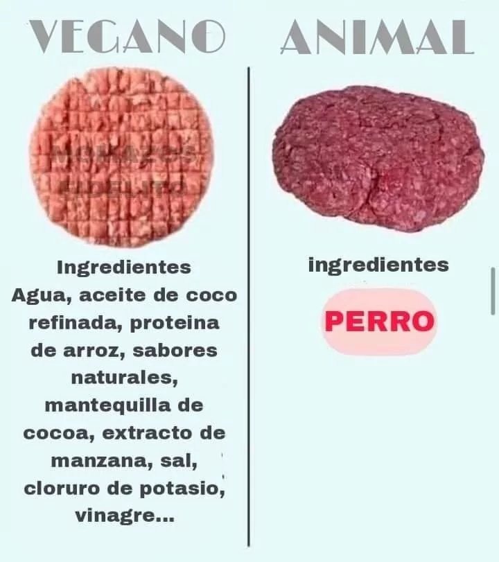 Carne vegana vs carne normal - meme