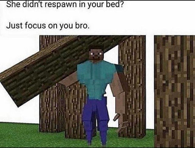 She didn't respawn in your bed? Just focus on you bro - meme
