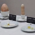 Types of egg
