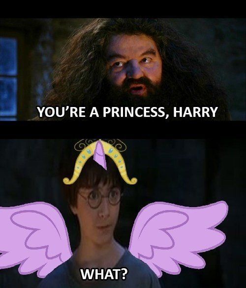 Tu est une princesse - meme