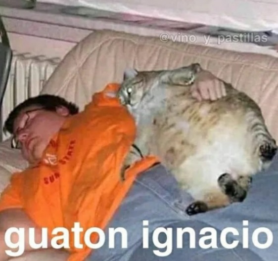 El waton ignacio - meme