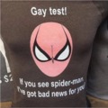 i dont understand why spiderman is a test
