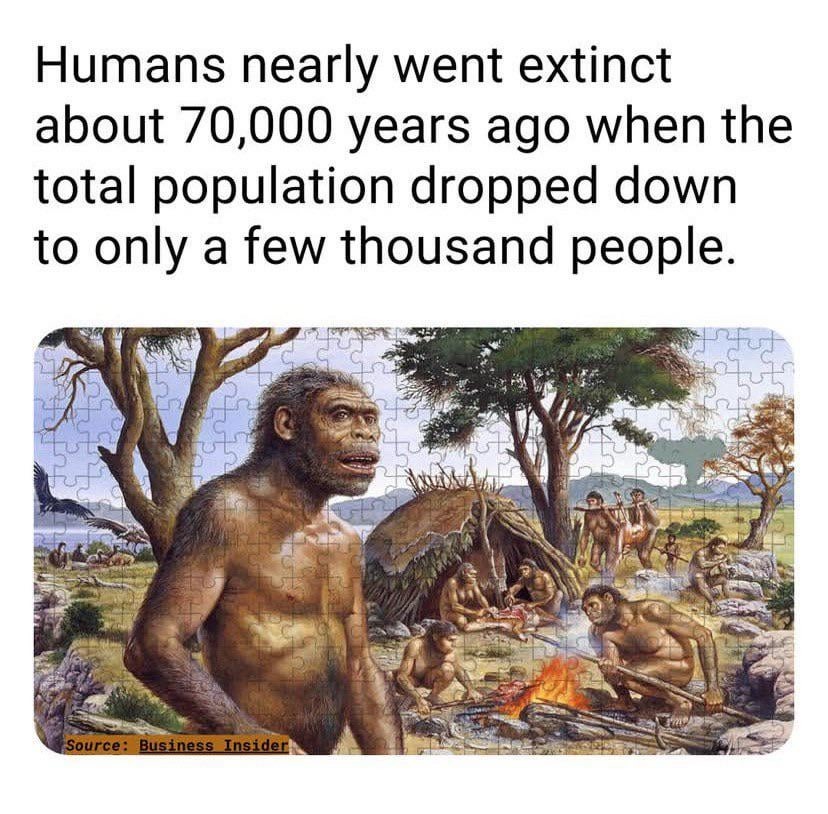 Humans nearly went extinct about 70,000 years ago - meme