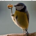 commented item thumbnail