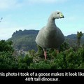 Goosezilla