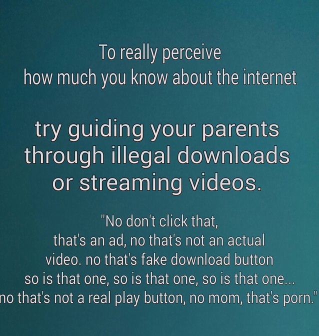 No Mom, that's porn. - meme