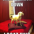 Calm the Goat down